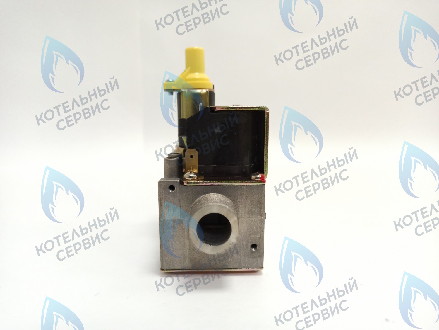 AA10021032 Газовый клапан Electrolux (AA10021032) в Оренбурге	