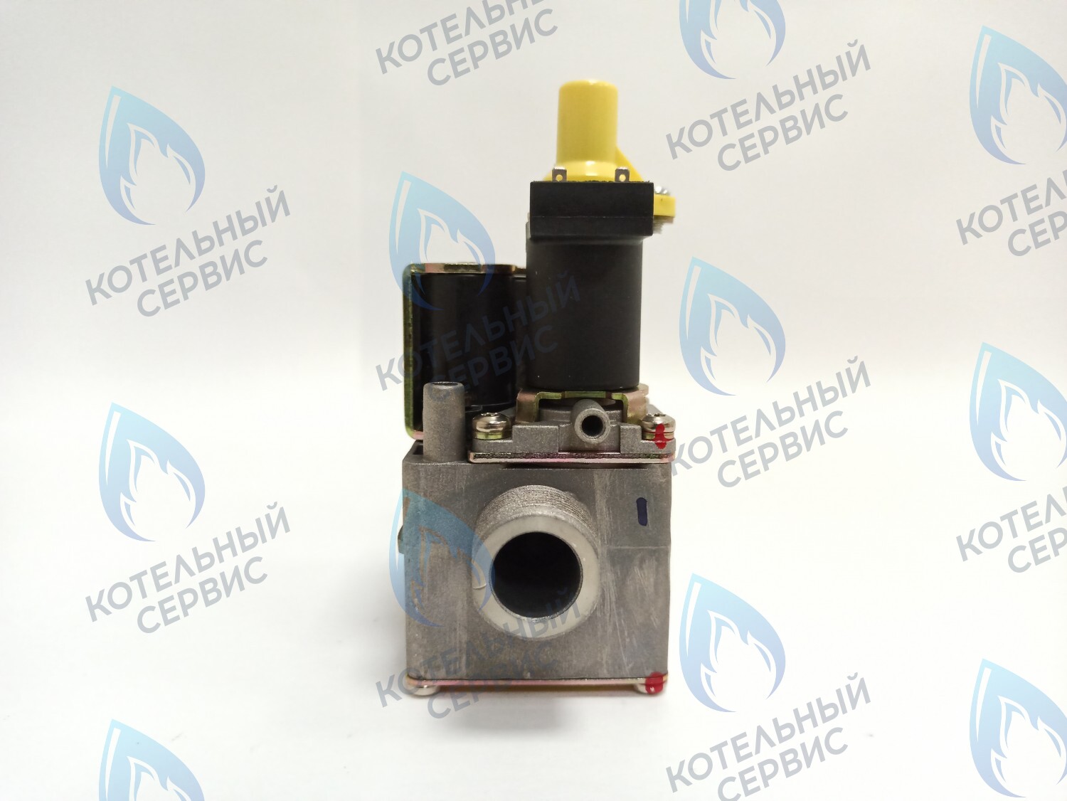 AA10021032 Газовый клапан Electrolux (AA10021032) в Оренбурге	