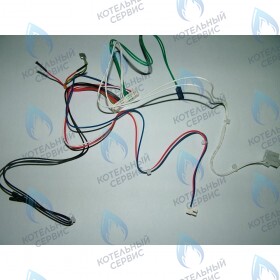 Проводка электрическая низковольтная (от разъема  платы x5 к модулятору, клеммной колодке, датчику NTC ГВС, реле минимального давления и датчику протока ГВС) BAXI