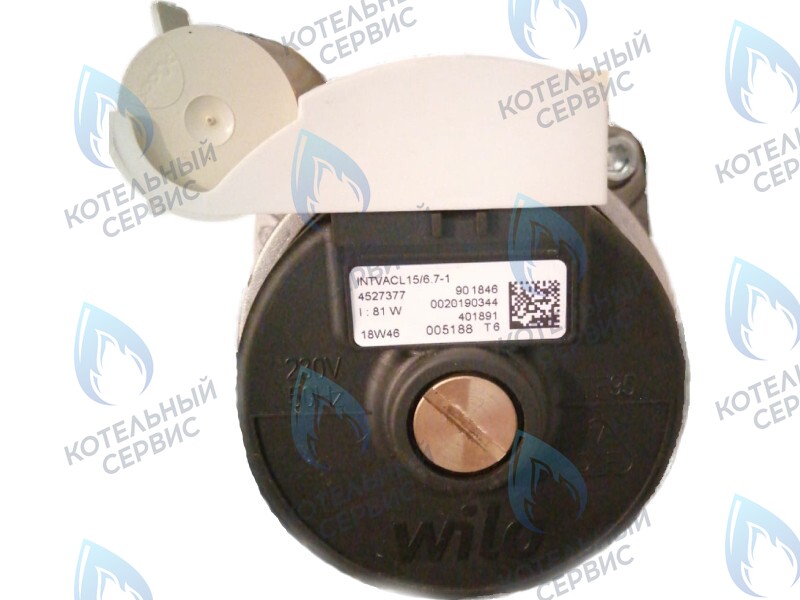 0020186161 Двигатель насоса Protherm Lynx Condens 18/25 MKV -A (H-RU) (81W) (без улитки) (против часовой, втулка 40мм, колесо 68/21мм) в Оренбурге	