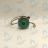PH-W21CCW60-DA90PR-5PIN Двигатель насоса Duca APW-R 15-6.2A (против часовой стрелки) PROTHERM Пантера H-RU (0020197549, 0020209790) (замена WILO INTVACL 15/6.7-2) ПАНТЕРА 35 KTV H-RU (0020186162) (замена VACL 15/7) в Оренбурге	