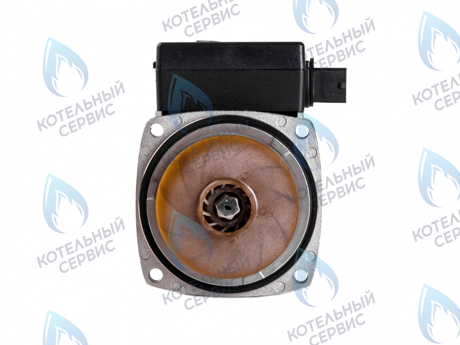 PH-E23CW50-ER95R Двигатель насоса (по часовой) ERCO DWP15-50-F Thermex (28300020, 28300010), ALPHATHERM (EC-036), FERROLI (PMF01AE50-ER95R, 902614160, 398063960, 398063950_CHIARI), Koreastar (KS90263950) в Оренбурге	