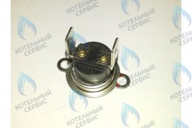 Предохранительный ограничитель температуры BUDERUS