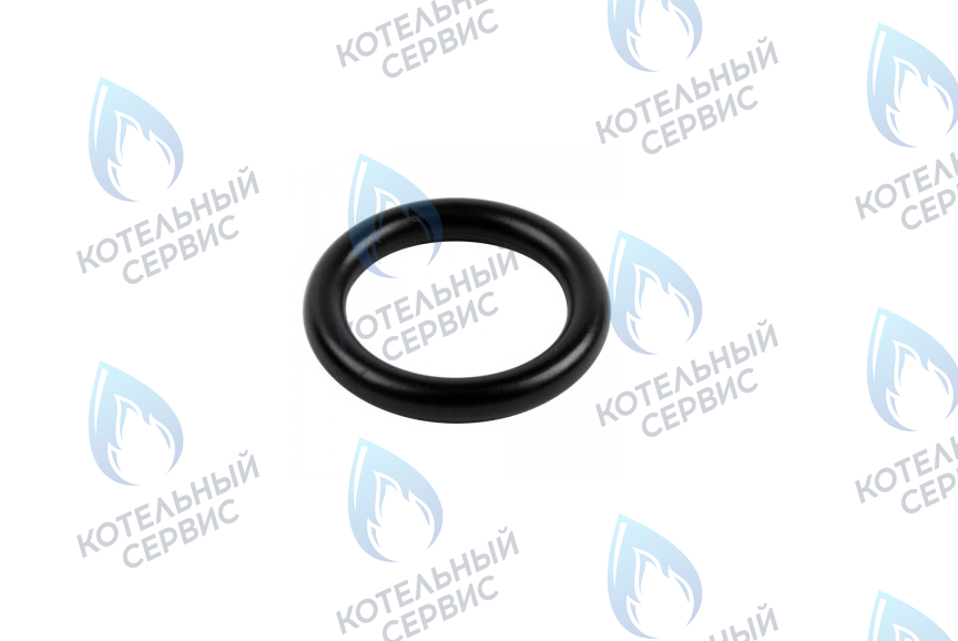 0020034114 Прокладка 14x9,5x2,5 PROTHERM в Оренбурге	