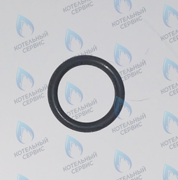 45560250 Кольцо уплотнительное FERROLI в Оренбурге	