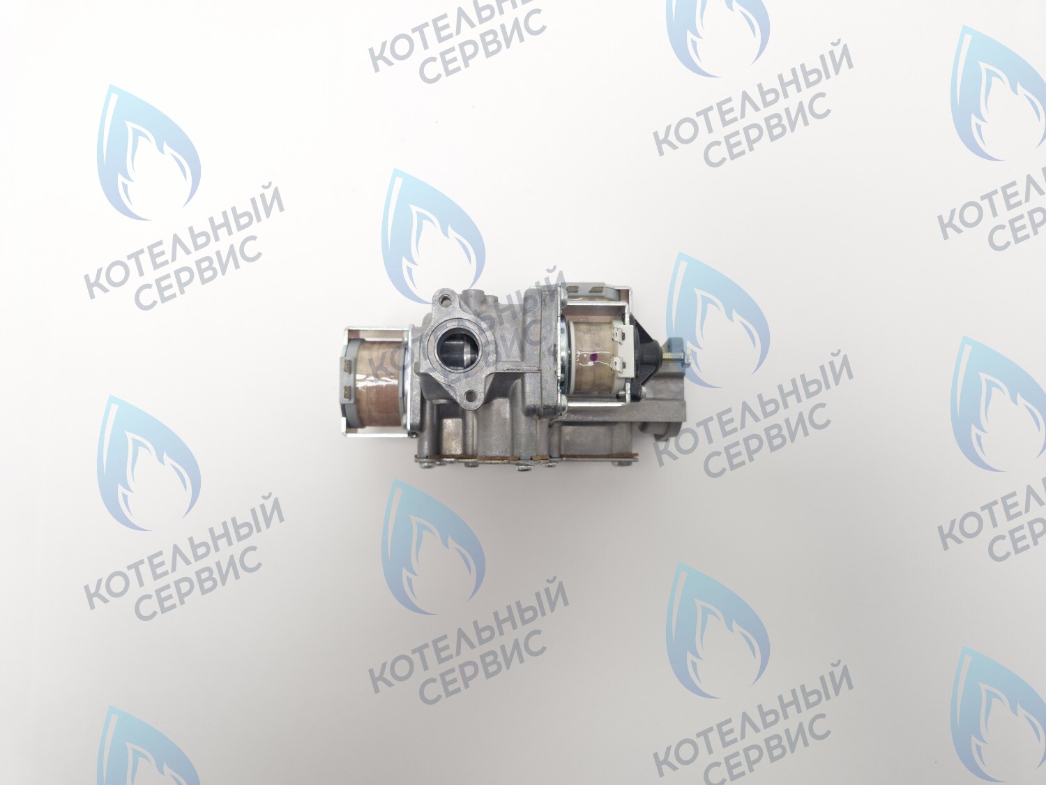 B200-02E-190 Клапан газовый 110V LOTTE E&M Coaxial 13-30K в Оренбурге	