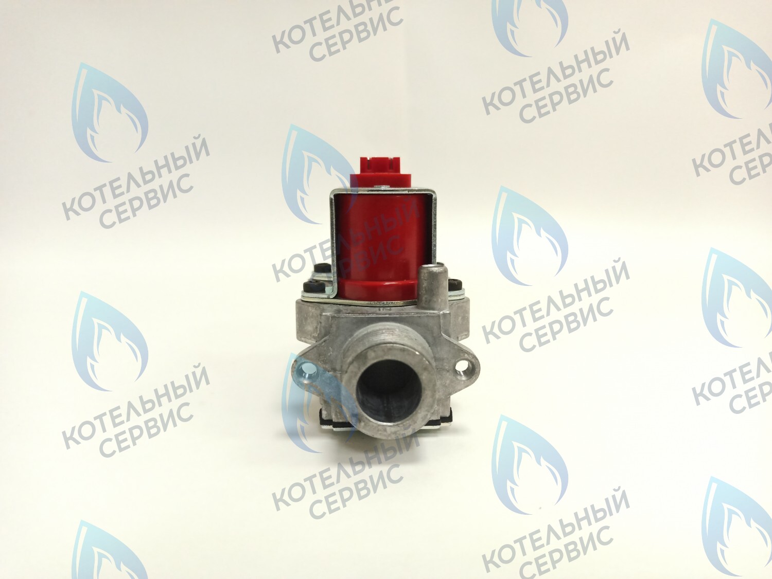 BI1373 100 Газовый клапан B&P (BI1373 100) BIASI в Оренбурге	
