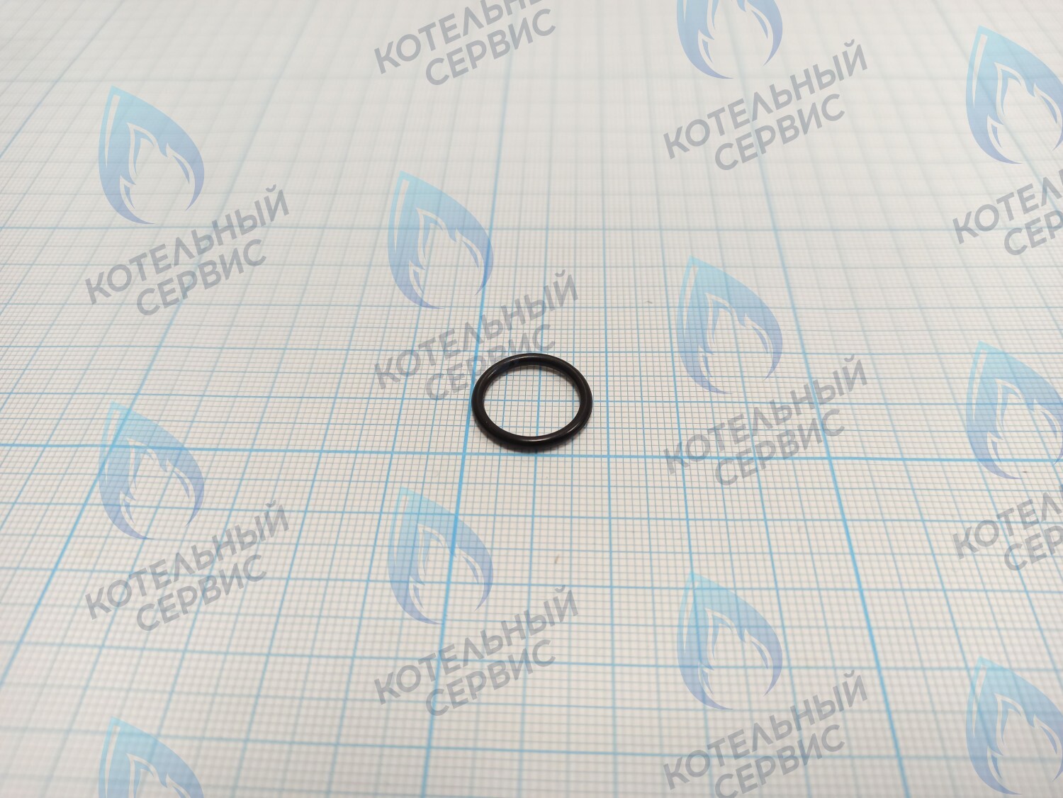 BI1001 129 Прокладка O-Ring 1,78x14,00 BIASI в Оренбурге	