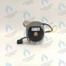PH-W21CCW50-WA79PR-5PIN-Комп Двигатель насоса 1000L/H аналог WILO INTVACL 15/5-2 Protherm Гепард 23 MTV / MOV вер. 19, Пантера 25 KTV / KOV, 30 KTV вер. 19 (без улитки) (против часовой, втулка 35мм, колесо 68/21мм) (0020097216, 0020197548) в Оренбурге	