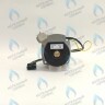 PH-W21CCW50-WA79PR-5PIN-Комп Двигатель насоса 1000L/H аналог WILO INTVACL 15/5-2 Protherm Гепард 23 MTV / MOV вер. 19, Пантера 25 KTV / KOV, 30 KTV вер. 19 (без улитки) (против часовой, втулка 35мм, колесо 68/21мм) (0020097216, 0020197548) в Оренбурге	