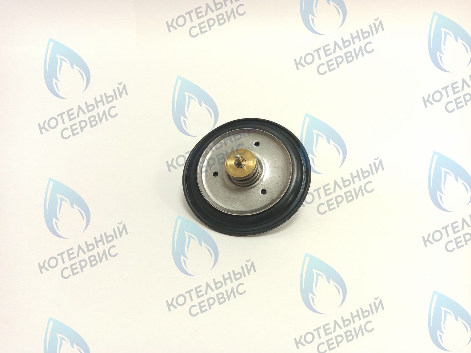 GGS101 Мембрана (диафрагма) гидравлического переключателя 72мм (Immergas 3.013125) в Оренбурге	