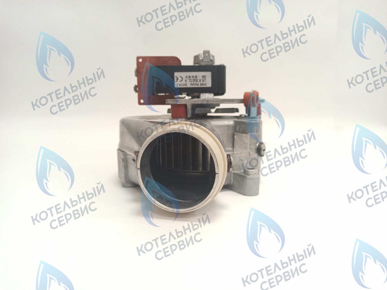 2000801860 Вентилятор дымоудаления 60w 30KTV19 PROTHERM в Оренбурге	