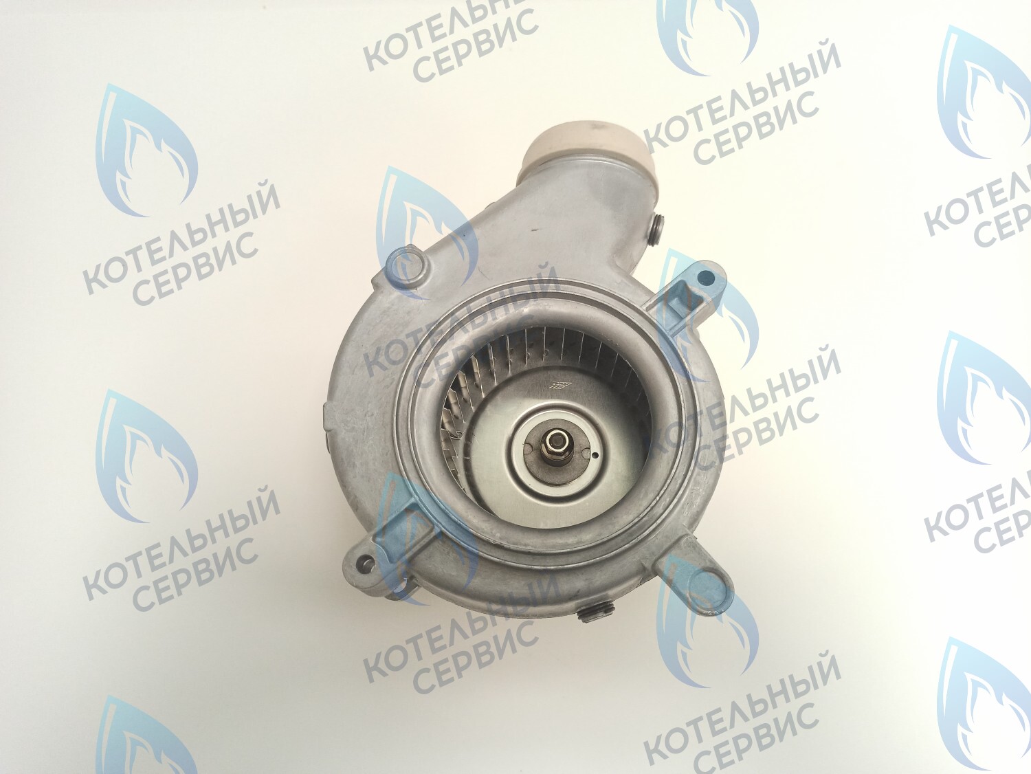 2000801860 Вентилятор дымоудаления 60w 30KTV19 PROTHERM в Оренбурге	