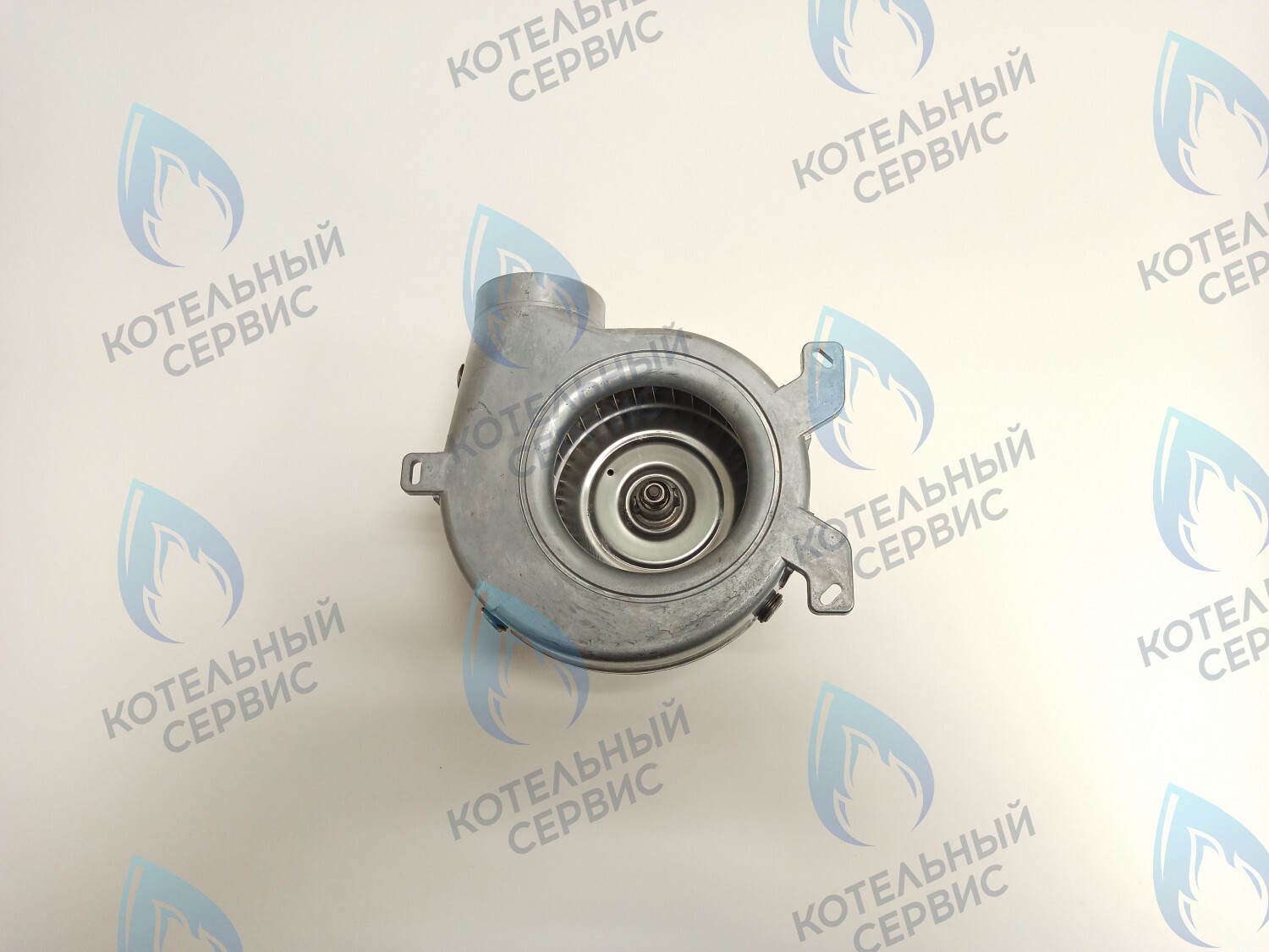 AF001-39W-F Вентилятор дымоудаления FIME 39W 24кВт BIASI Delta 23 SM (BI1366 102) в Оренбурге	