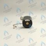 PH-W21CW50-DA84-2PIN Двигатель насоса DUCA APW 15-5.1A (1 скорости) аналог Wilo Ariston (60001584, 60000876, 60000876-01) в Оренбурге	