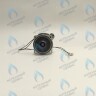 PH-W21CW50-DA84-2PIN Двигатель насоса DUCA APW 15-5.1A (1 скорости) аналог Wilo Ariston (60001584, 60000876, 60000876-01) в Оренбурге	