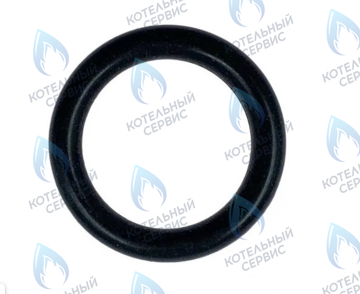 0020118658 Прокладка 3x15мм PROTHERM в Оренбурге	