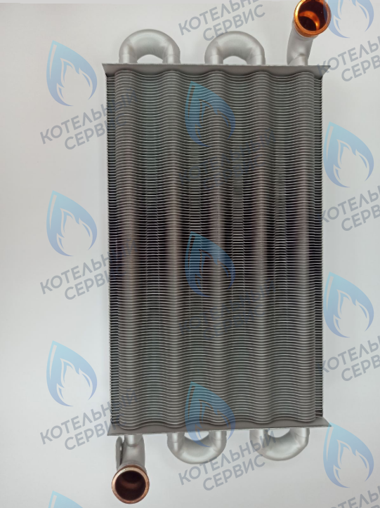 6SCAMMON15 Теплообменник первичный Antea CTFS-RTFS-RBTFS 40кВт FONDITAL в Оренбурге	