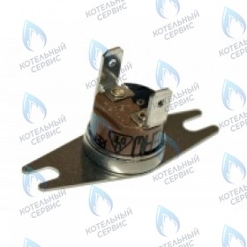 Термостат продуктов сгор.65+3°C PROTHERM