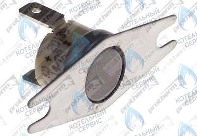 0020049261 Термостат продуктов сгор.65+3°C PROTHERM в Оренбурге	