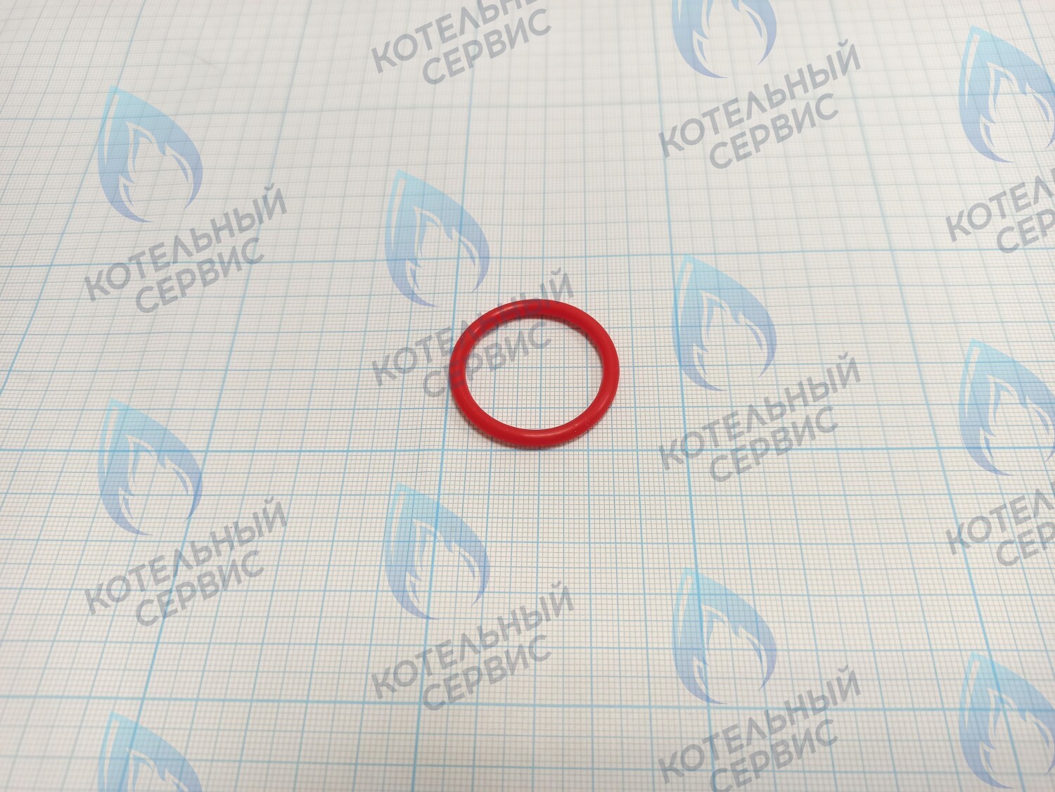 20007016A Кольцо уплотнительное O-ring Navien для фильтра (BH2423087A) в Оренбурге	