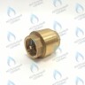  Обратный клапан 1 FR G405 (стержень латунь) в Оренбурге	