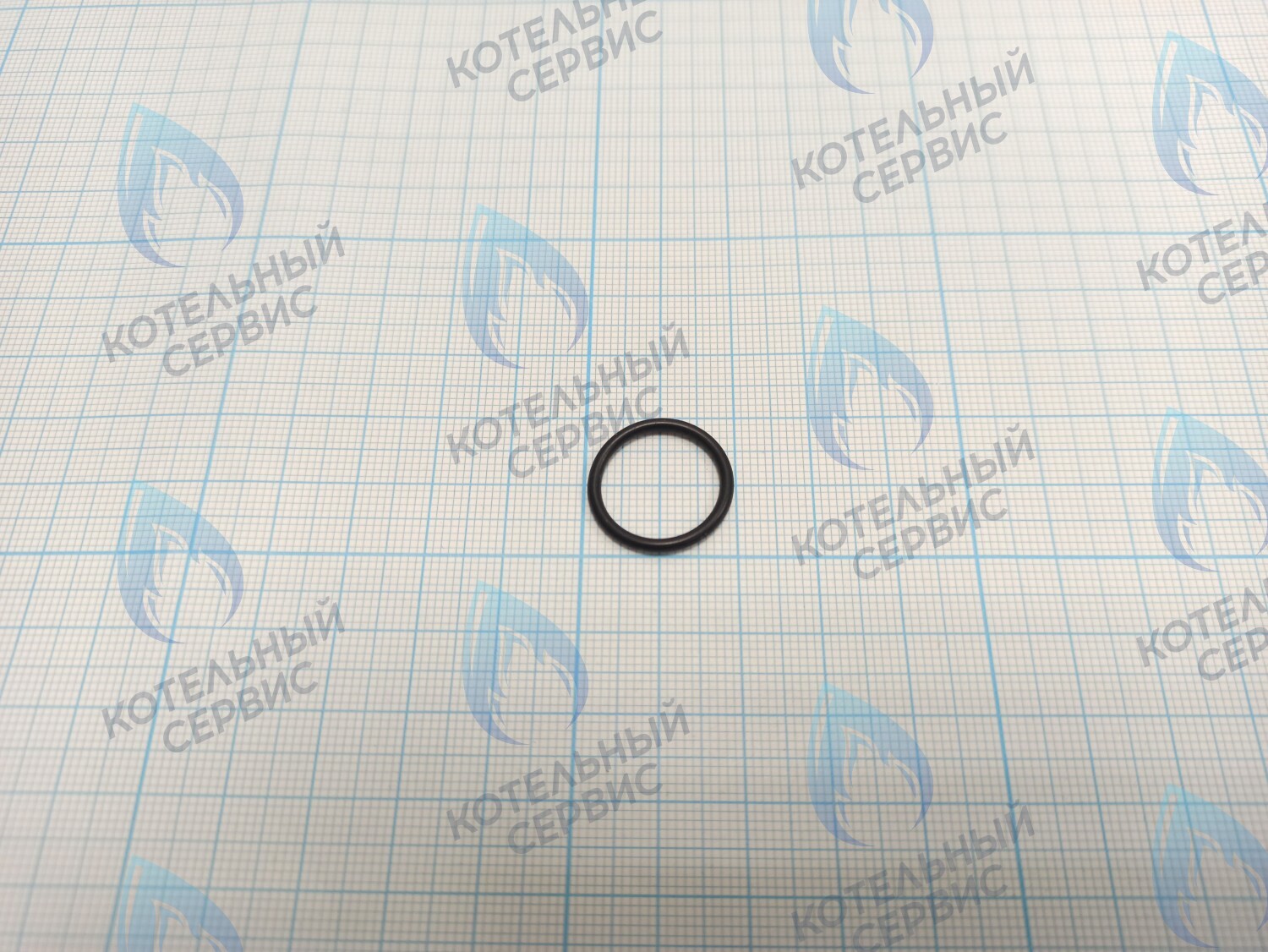 BI1001 131 Прокладка O-Ring 1,78 X 15,6 (BI1001 131) в Оренбурге	