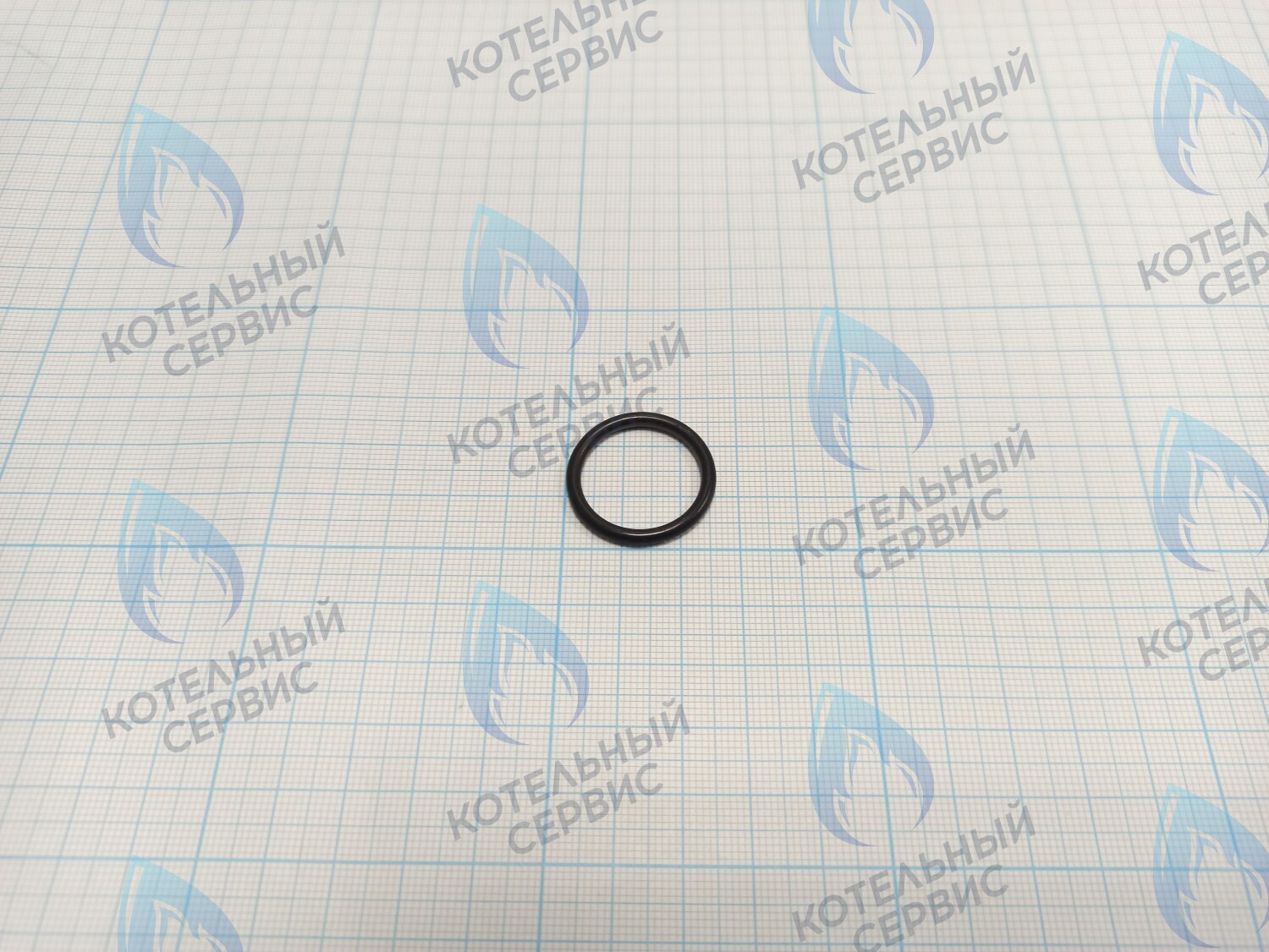 BI1001 130 Прокладка O-Ring 2,6 X 20,6 (BI1001 130) в Оренбурге	