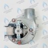 AF013-35W-S Вентилятор дымоудаления SOHON аналог BAXI Eco Life, Eco Star (7731816) в Оренбурге	