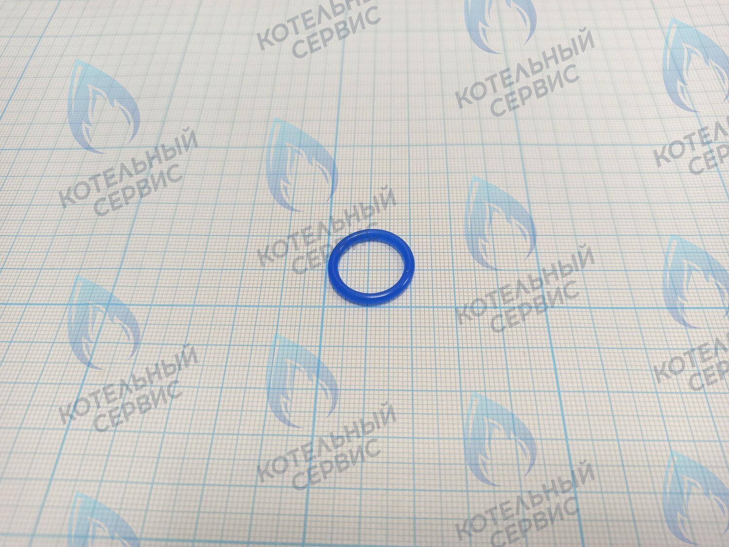 20007019A Кольцо уплотнительное O-ring Navien (SILICONE,P16,Bl) (BH2423090A) в Оренбурге	