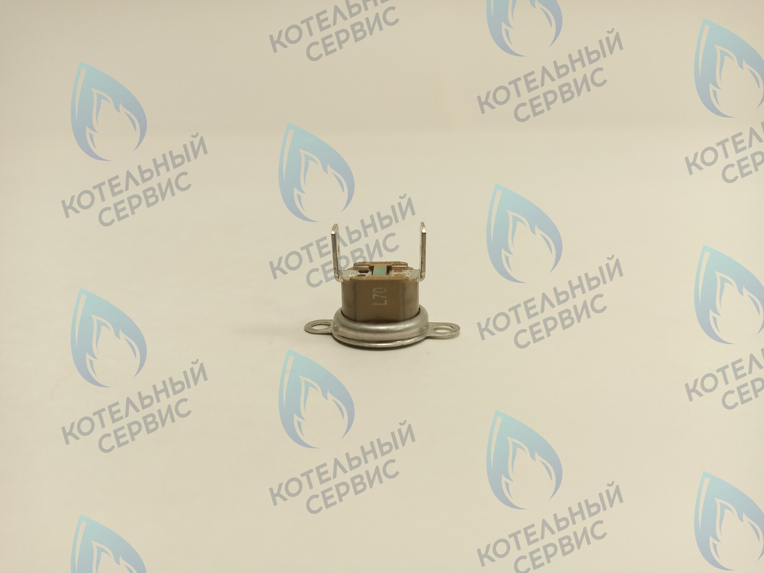 39820770 Термостат дымовых газов аварийный 70С Ferroli в Оренбурге	