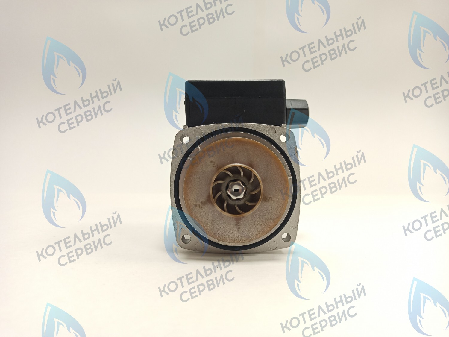 PH-G30CCW50-ER95-02 Двигатель насоса (против часовой) ERCO DWP15-50-A (без улитки) в Оренбурге	