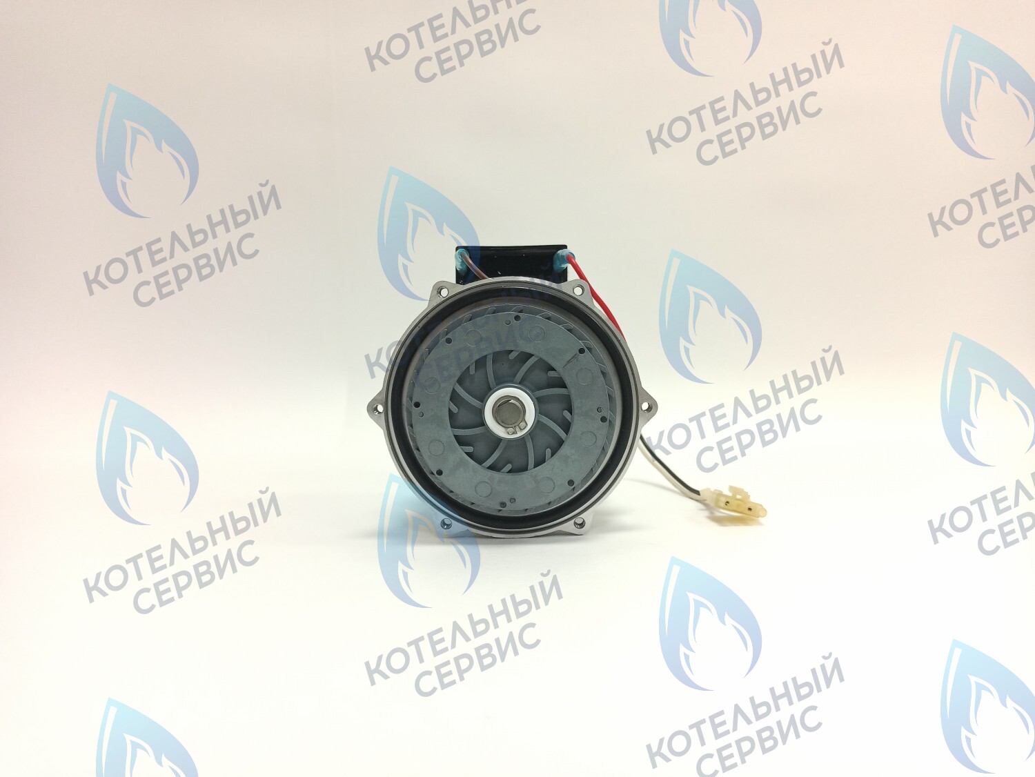 PH-S46CW74-CS81 Двигатель насоса (без улитки, с прокладкой) 81w GRUNDFOS CS-0108DSA  ARDERIA  CELTIC-DS  MASTER GAS SEOUL 30кВт-35кВт DAESUNG A30-41 в Оренбурге	