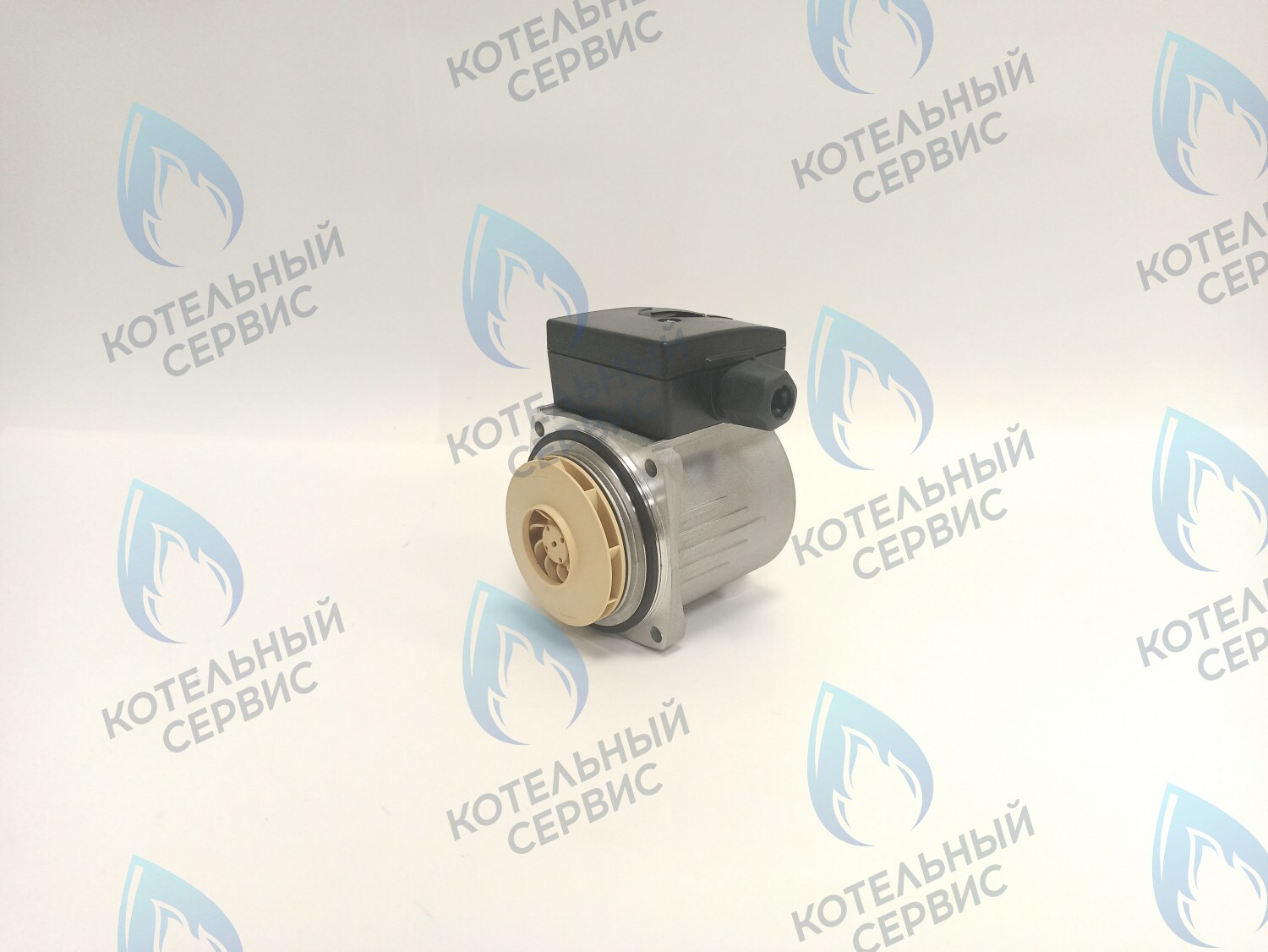 PH-P30CCW50-PR75 Двигатель насоса (против часовой) Protherm 15-50S (0020207146, 0020119604) в Оренбурге	