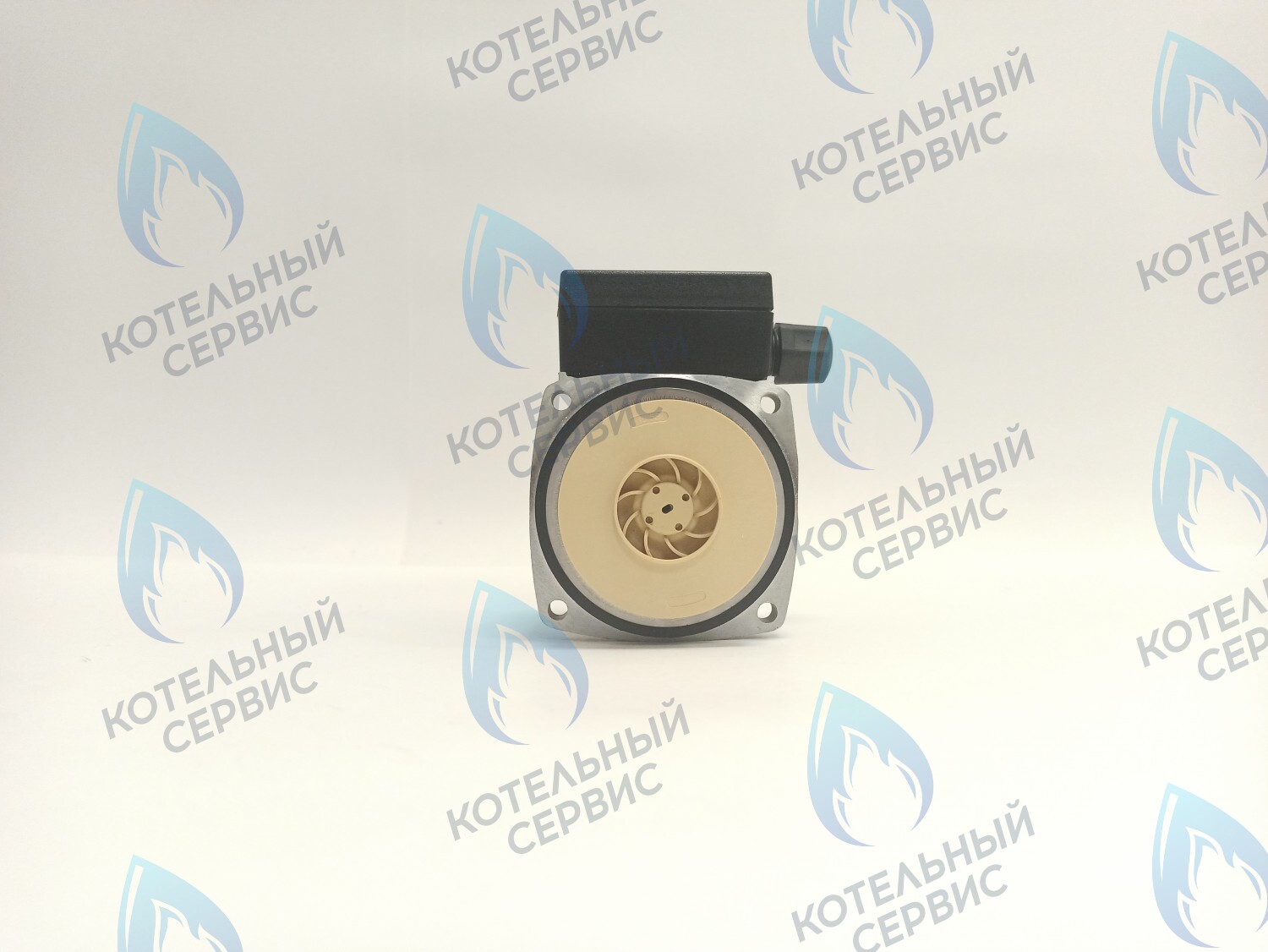 PH-P30CCW50-PR75 Двигатель насоса (против часовой) Protherm 15-50S (0020207146, 0020119604) в Оренбурге	