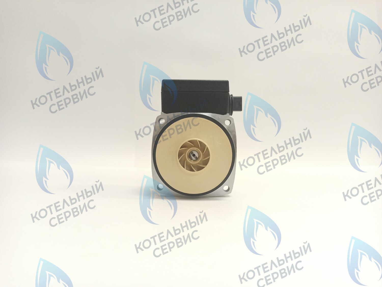 PH-P30CCW60-PR120 Двигатель насоса (против часовой) Protherm 15-60S (0020119604, 0020207146) в Оренбурге	