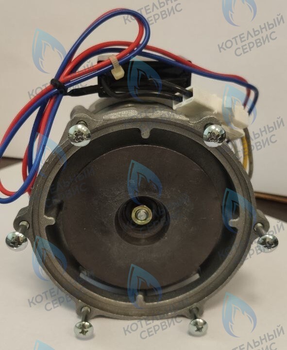 PH-S26CCW70-NK100-NI Двигатель циркуляционного насоса NANOKEM в Оренбурге	