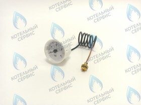 Манометр ELECTROLUX Quantum (BI1695 101)