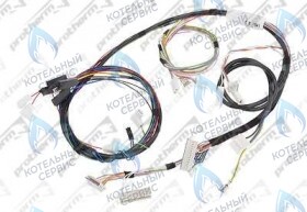 Жгут проводов 24BTV17 PROTHERM