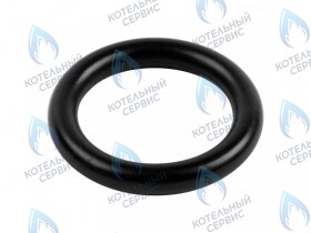 Кольцо уплотнительное насоса  CELTIC-DS PLATINUM (все модели) (3080016)