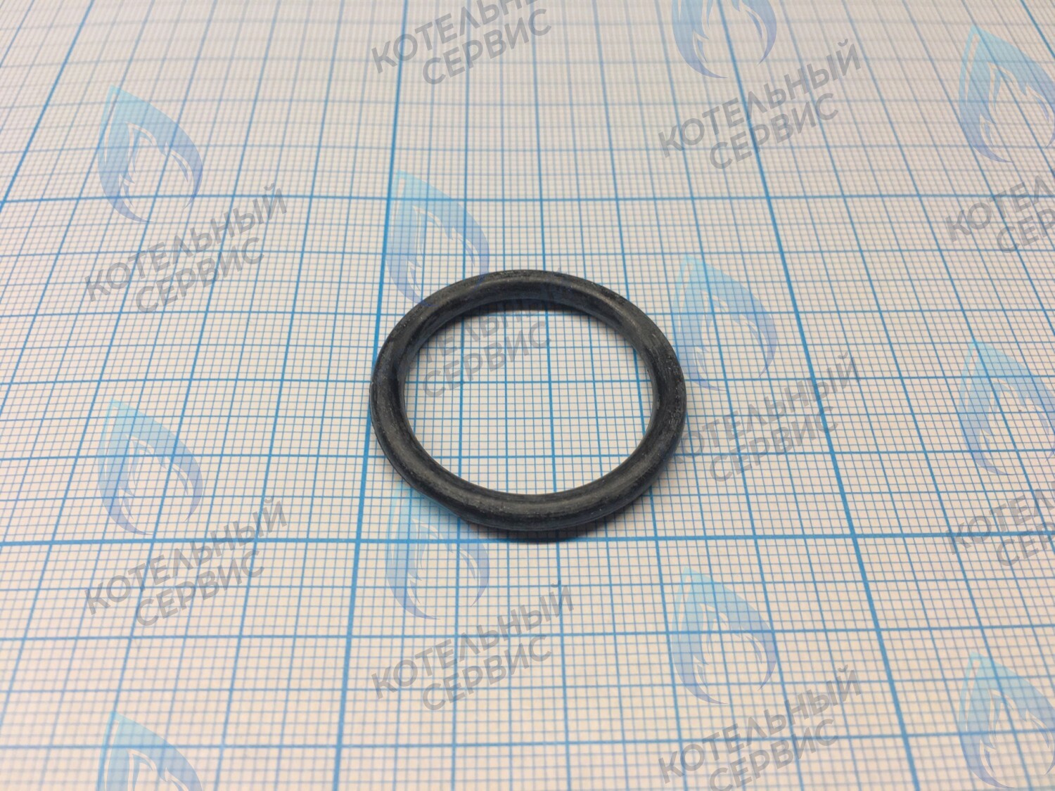 3080016 Кольцо уплотнительное насоса  CELTIC-DS PLATINUM (все модели) (3080016) в Оренбурге	