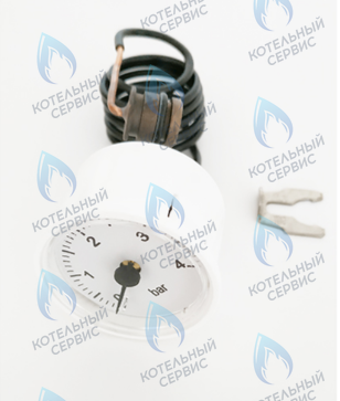 39846290 Манометр FERROLI в Оренбурге	