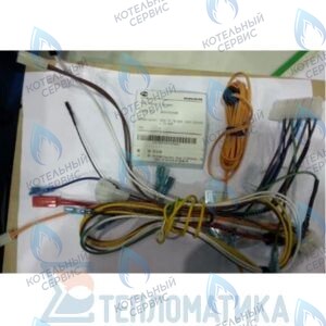 30003022A Жгут кабельный в сборе с коннекторами Atmo NAVIEN в Оренбурге	
