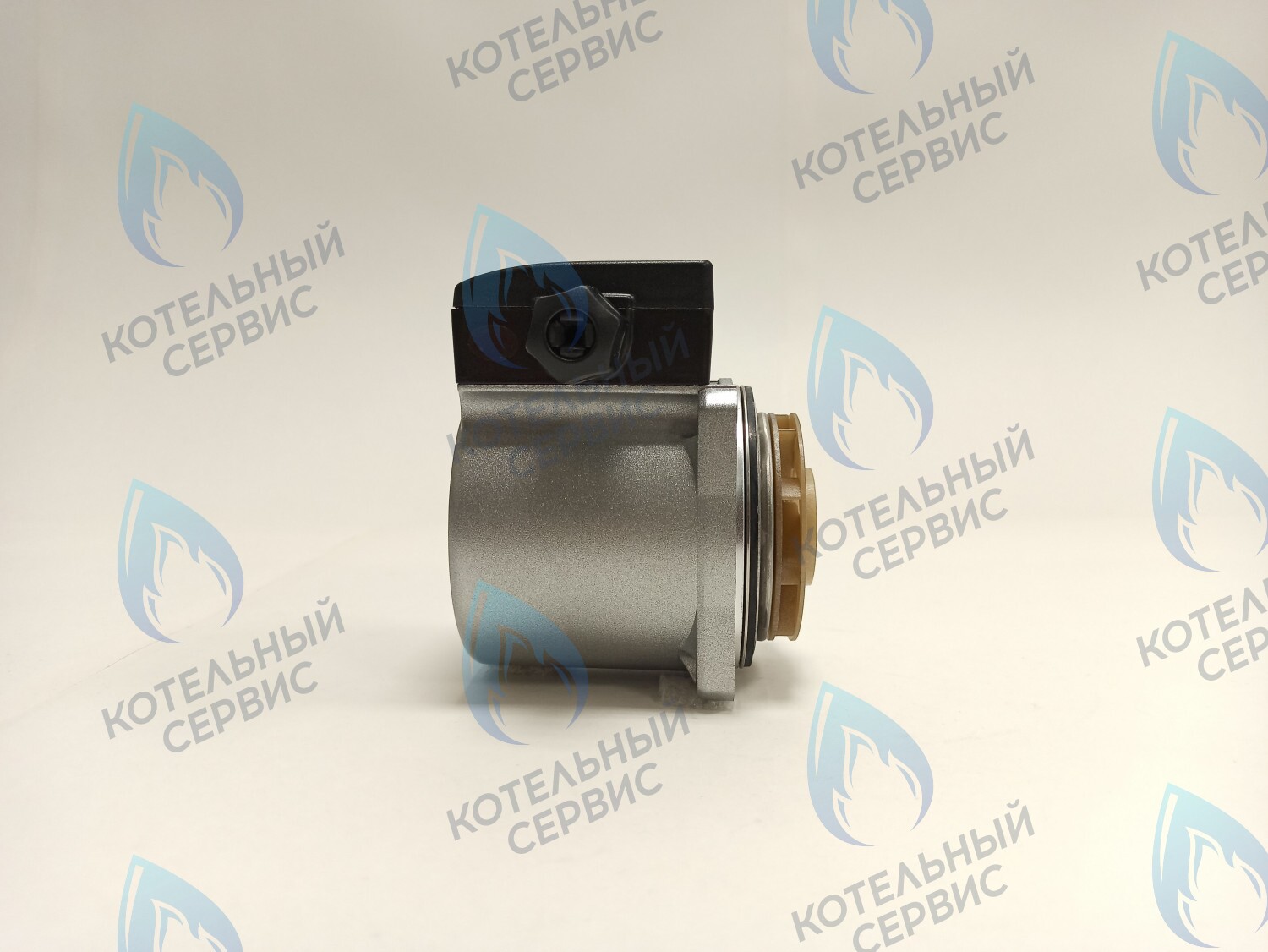 PH-G30CCW50-DG75 Двигатель насоса DUCA GX 15-50, аналог GRUNDFOS 15-50, 75W в Оренбурге	