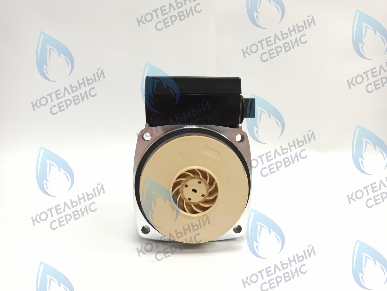 PH-P30CCW60-GB120 Двигатель насоса (против часовой) DD15-60 для Protherm (0020119604, 0020207146) в Оренбурге	