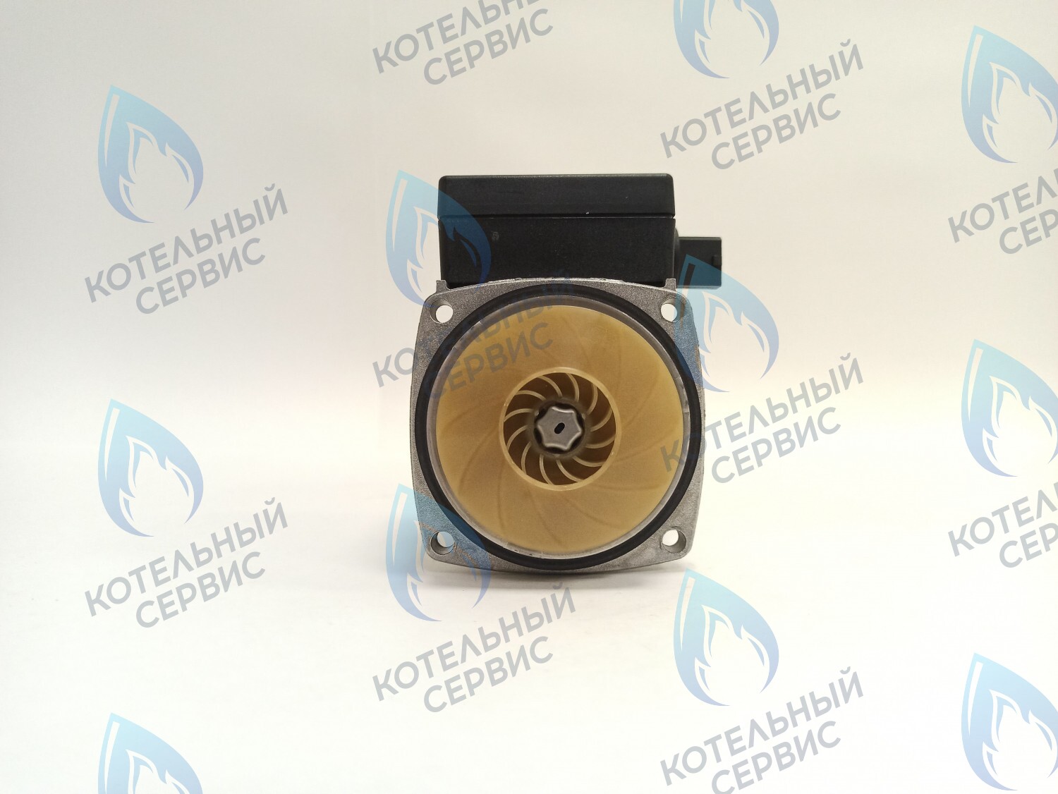 PH-G30CCW50-GR75-FL Двигатель насоса GRUNDFOS 15-50 75w с коннектором в Оренбурге	