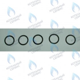 Уплотнение кольцевое d.17,96X2,62 BAXI