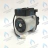 P0000000991 Циркулирующий водяной (циркуляционный) насос OASIS GPD 15-5S Z027 (Р0000000991) в Оренбурге	