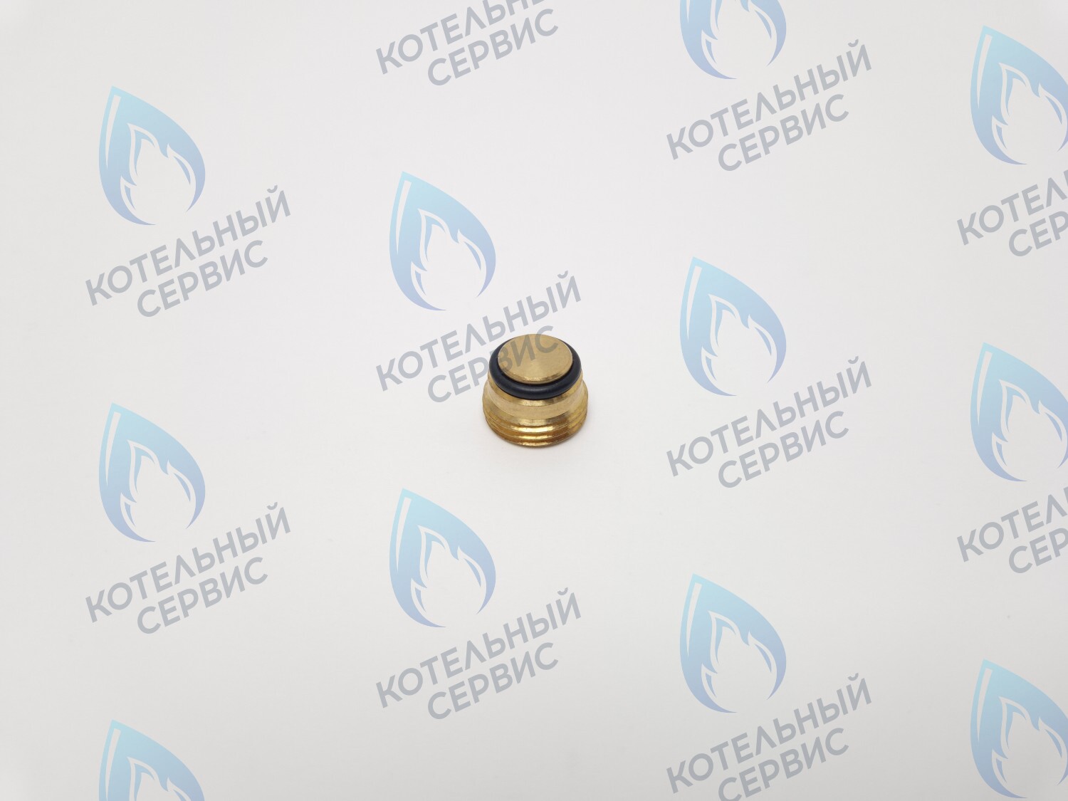GVP020 Заглушка на клапан Sit 630 (0.972.061) в Оренбурге	