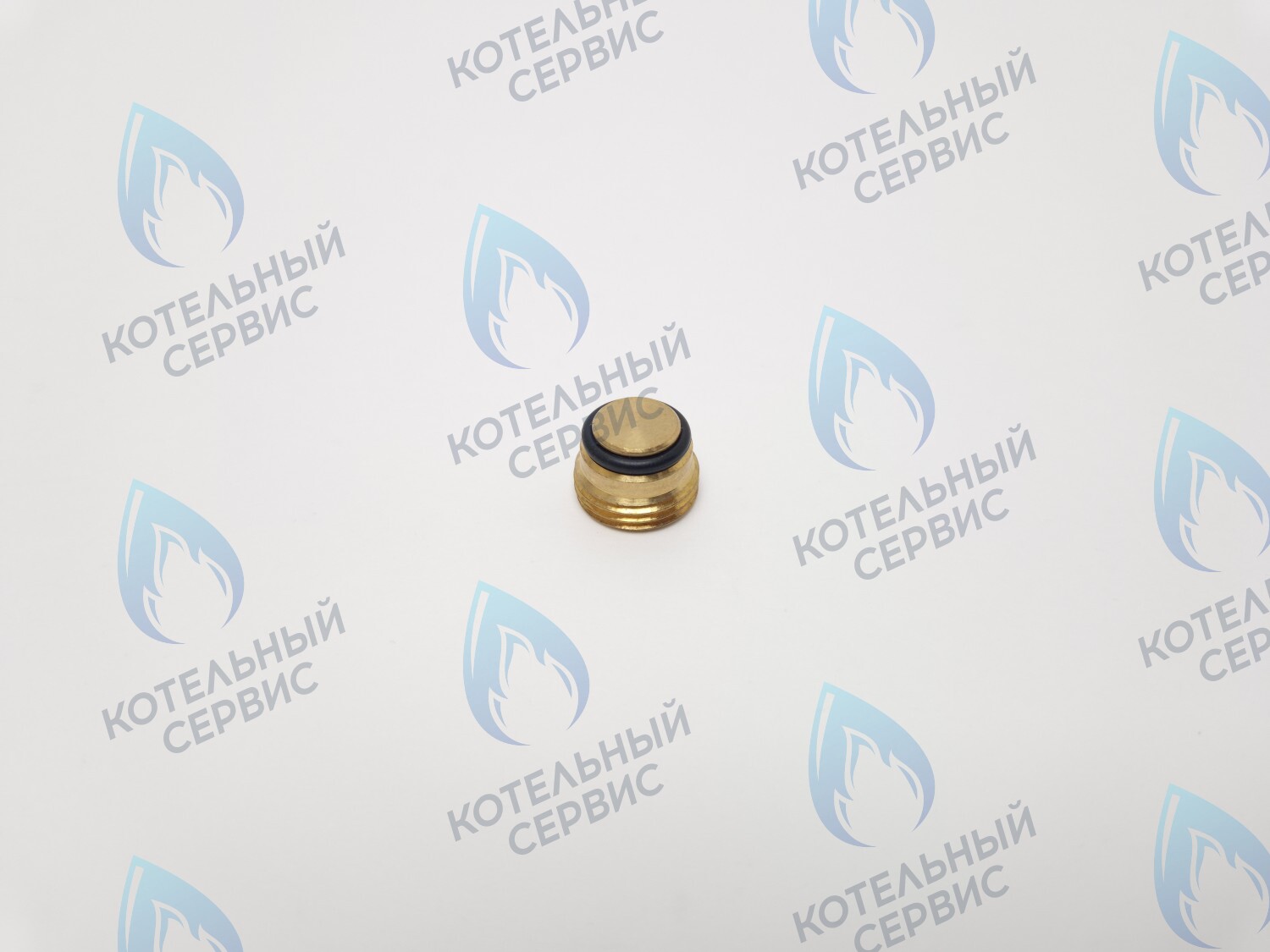 GVP020 Заглушка на клапан Sit 630 (0.972.061) в Оренбурге	